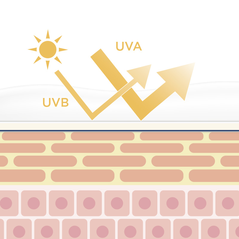 Diagrama de piel y sol UVA UVB