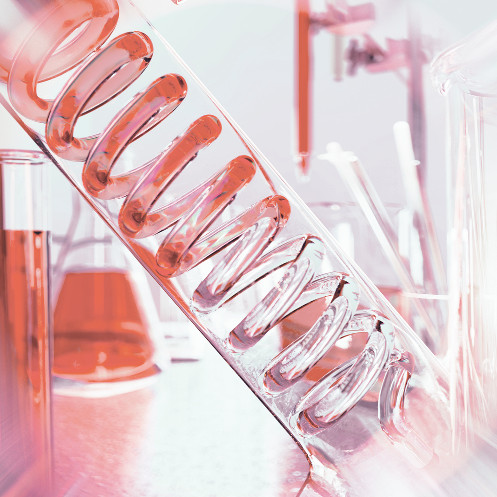 Formulario para profesionales de la salud