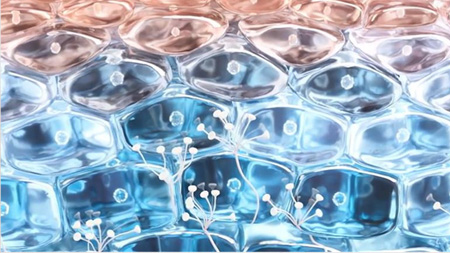 Antalgicine™ technology image