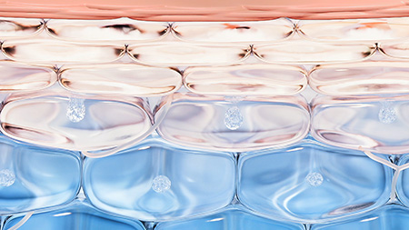 Patente NOn DEtergence image