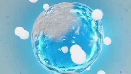 Imagen ciencia Detox