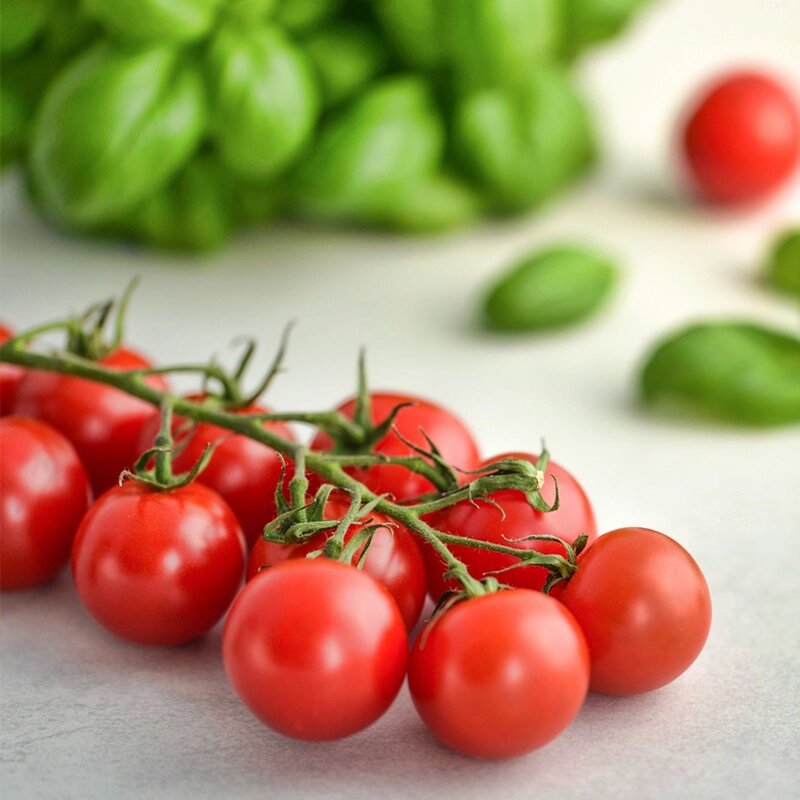 Alimentos para niños con atopia