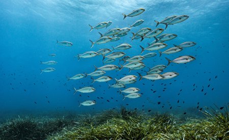 Los productos Photoderm respetan el océano