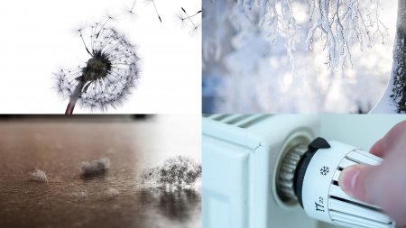 Factores medioambientales que pueden afectar a la piel