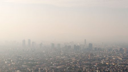 Contaminación 