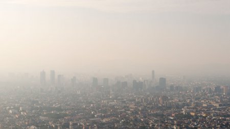 Contaminación 