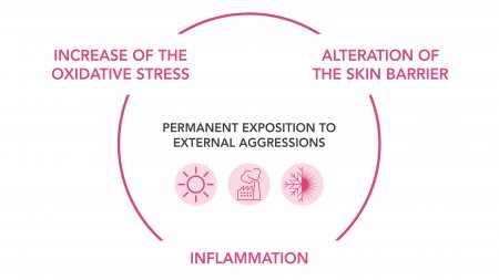 Premature aging skin schema